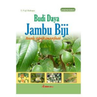 Image of BUDI DAYA JAMBU BIJI BUAH MULTIMANFAAT